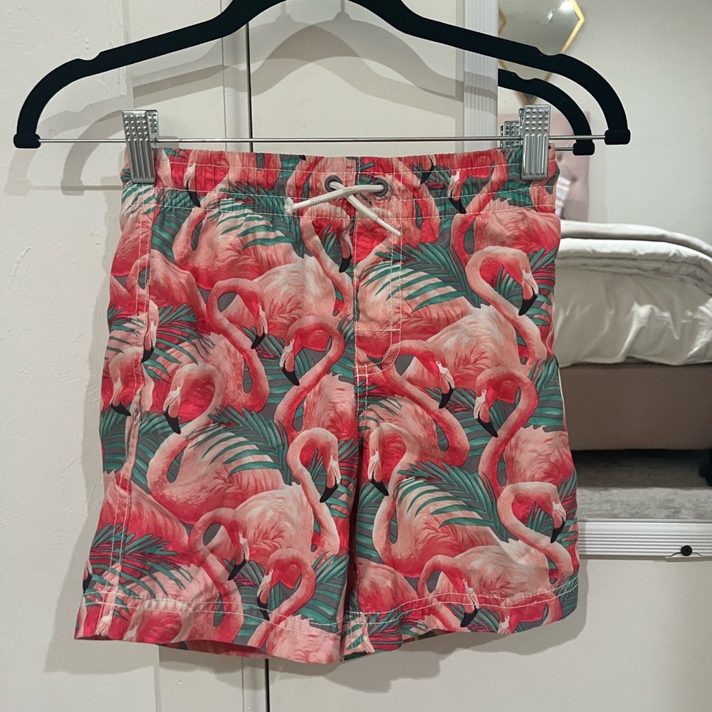 Flamingo Print Coral Boys Matching Swim trunks and shirt